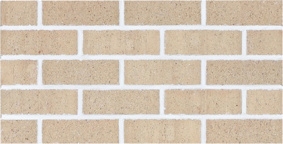 フリーダム（Freedom）