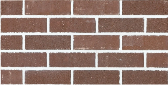 フリーダム（Freedom）