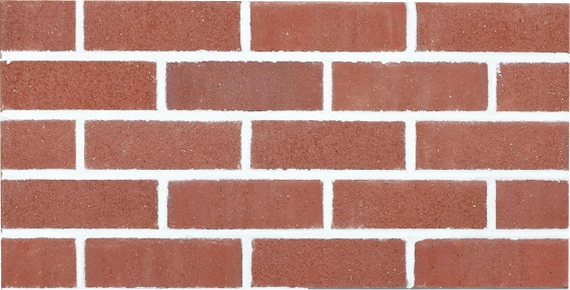 スティミュレイト（Stimulate）