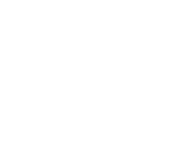 3D selcotown