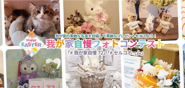 スマートフォン用の画像