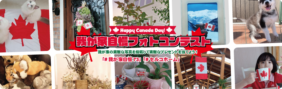 パソコン用の画像
